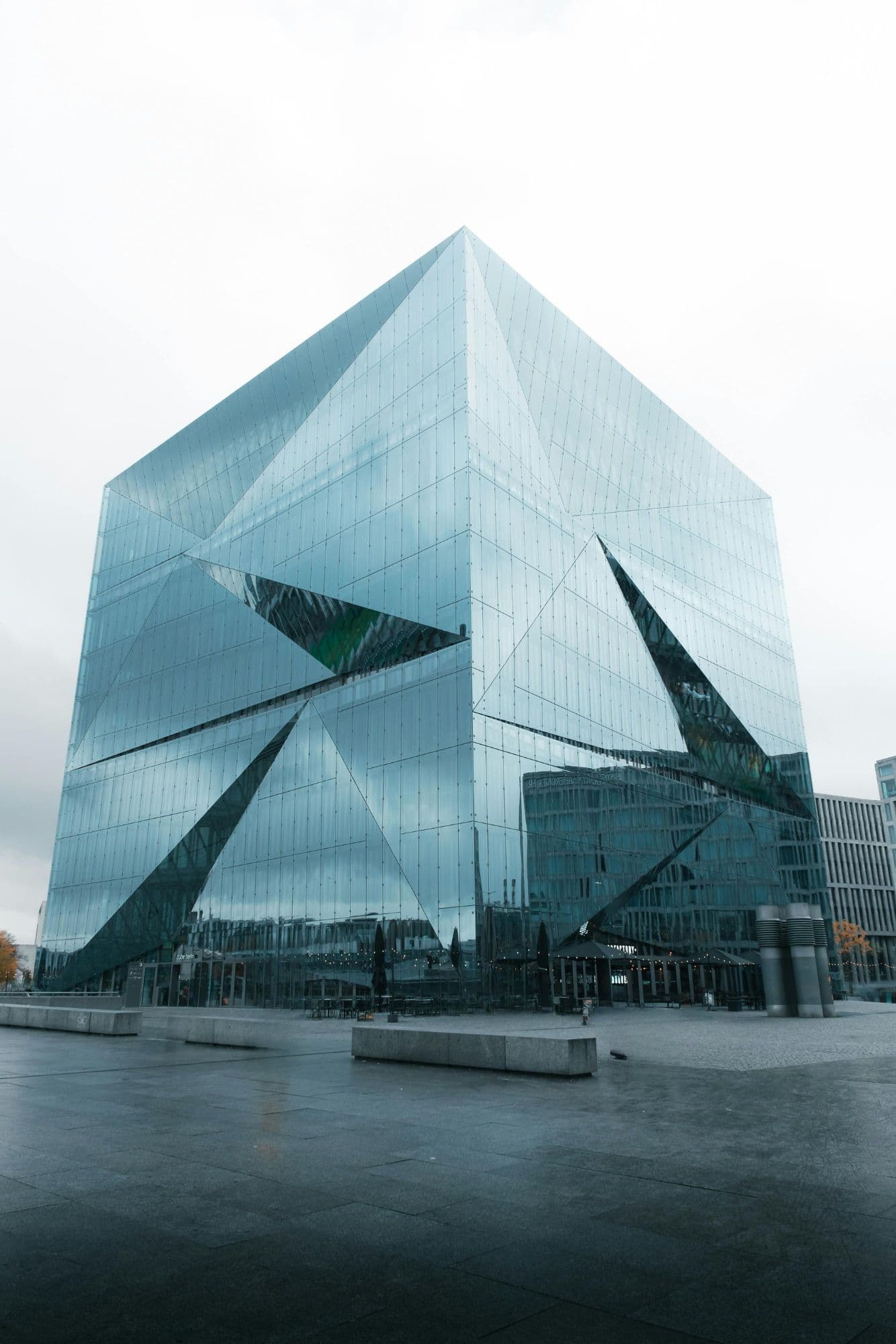 Modern office with plants and bright windows